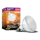 D3 Basking Lamp 80 Watt