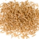 Schmeifliegen-Maden 200ml Becher